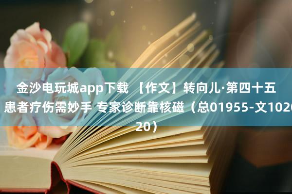 金沙電玩城app下載 【作文】轉(zhuǎn)向兒·第四十五回 患者療傷需妙手 專家診斷靠核磁(總01955-文1020)