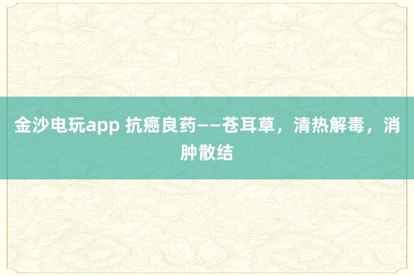 金沙電玩app 抗癌良藥——蒼耳草,清熱解毒,消腫散結(jié)