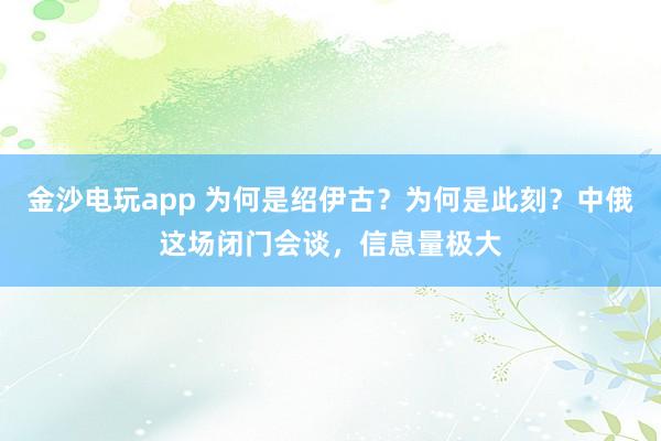 金沙電玩app 為何是紹伊古?為何是此刻?中俄這場閉門會談,信息量極大