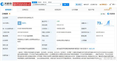 新東方武漢成立科技公司，注冊資本1000萬發力信息技術咨詢