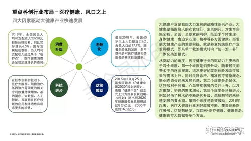2019科創獨角獸研究報告 信息技術咨詢服務